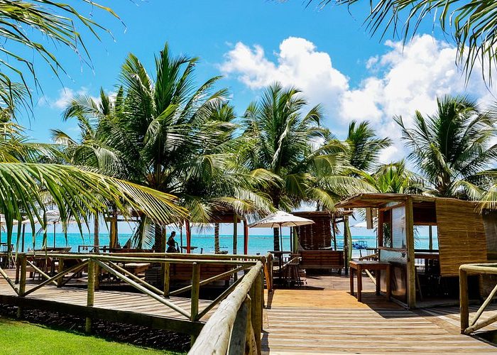 hibiscus beach